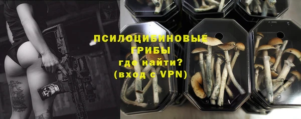 гидропоника Коряжма