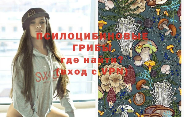 гидропоника Коряжма