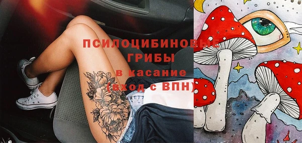 гидропоника Коряжма